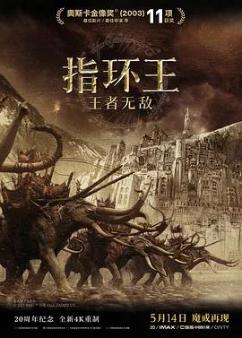 指环王3:王者无敌