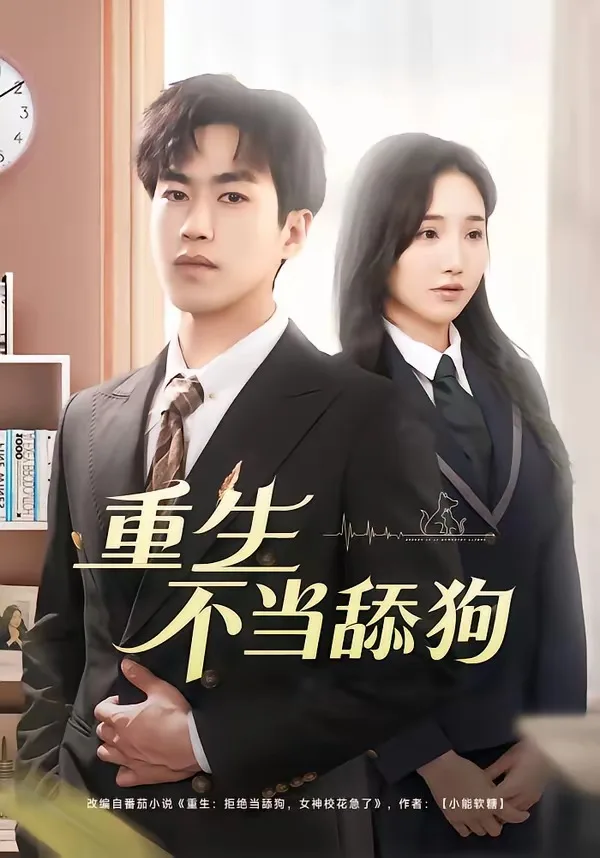 重生不当舔狗