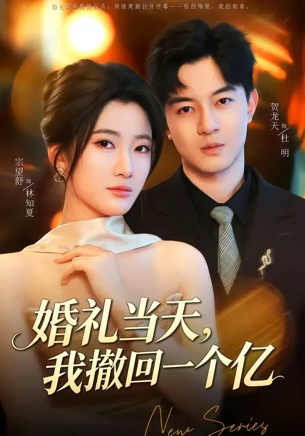婚礼当天，我撤回一个亿